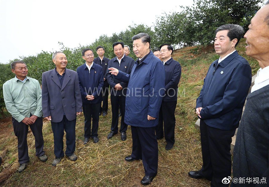 光山油茶籽榨油設(shè)備，山茶籽油榨油機(jī)廠家(圖3)