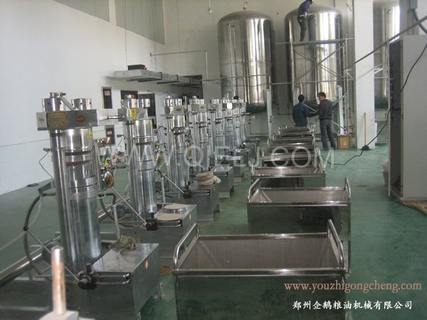 核桃油提取設(shè)備 企鵝牌核桃油設(shè)備 質(zhì)優(yōu)價好！(圖2)
