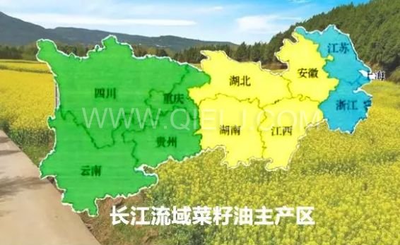 濃香菜籽油成套設備，企鵝糧油機械品質出眾(圖1)